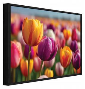 Obraz W Ramie Na Płótnie Kwiaty Kolorowy Do Sypialni Salonu 60x40