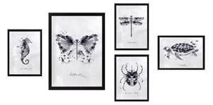 Obrazy zestaw 5 szt. Butterfly – Wallity