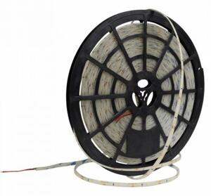 Taśma LED 4.8W/m 4000K 300lm/m 12V IP20 50m ściemnialna Ecolight