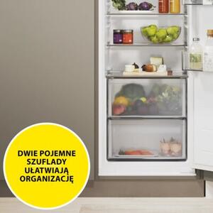 Lodówka Candy CML5518EVWL Szuflada świeżości Adaptive Humidity Zone