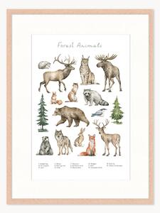 Oprawiony druk cyfrowy Forest Animals, różne rozmiary