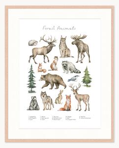 Oprawiony druk cyfrowy Forest Animals, różne rozmiary