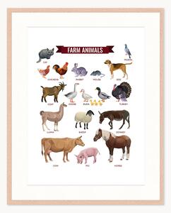 Oprawiony druk cyfrowy Farm Animals, różne rozmiary