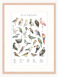 Oprawiony druk cyfrowy Bird Alphabet, różne rozmiary