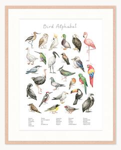 Oprawiony druk cyfrowy Bird Alphabet, różne rozmiary