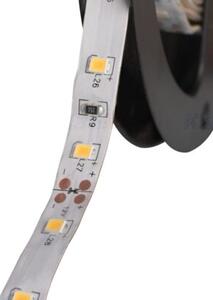 Taśma LED LEDS-B neutralna 5m 24514 Kanlux IP65 12V