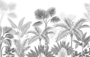 Fototapeta XXL Jungle 360 x 254 cm, 8 części