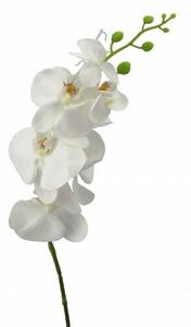 Sztuczna Phalenopsis biała, 86 cm