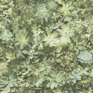Noordwand Tapeta Evergreen Succulent, zielono-beżowa