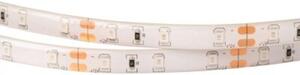 Taśma LED 300 4.8W/m zielona 12V IP63 5m ściemnialna wodoodporna Ecolight