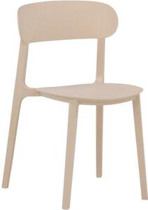 Krzesło z tworzywa sztucznego Åstol