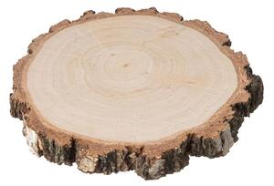 ČistéDřevo Podkładka drewniana z pnia brzozy z korą 8–10 cm