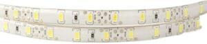 Taśma LED 300 19W/m 6500K 1550lm/m 12V IP63 5m ściemnialna wodoodporna Ecolight