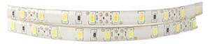 Taśma LED 300 19W/m 6500K 1550lm/m 12V IP63 5m ściemnialna wodoodporna Ecolight