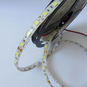 Taśma LED 300 19W/m 6500K 1550lm/m 12V IP63 5m ściemnialna wodoodporna Ecolight
