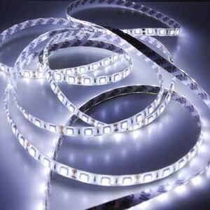 Taśma LED 300 14.4W/m 6500K 800lm/m 12V IP20 5m ściemnialna Ecolight