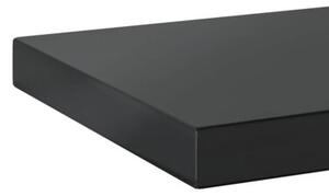 Półki ścienne, 2 szt., 100x23,5x3 cm, czarna stal nierdzewna