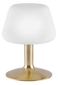 Lampa stołowa złota z 3-stopniowym ściemniaczem dotykowym, w tym LED - Tilly Oswietlenie wewnetrzne