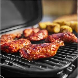 Grill ogrodowy gazowy WEBER Traveler Compact 1501747 Zamykany, żeliwny ruszt, półki boczne, termometr