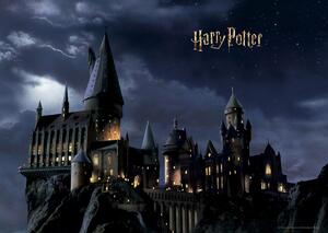 Fototapeta dziecięca Harry Potter 252 x 182 cm, 4 części