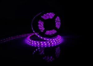 Taśma LED MY LIGHT E2 ELT-EKO5050-150-IP20-RGB-5M 5 m