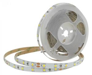 Taśma LED 300 10.8W/m 4000K 500lm/m 24V IP20 5m ściemnialna Ecolight