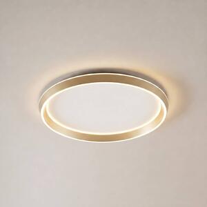 Lampa sufitowa Rylan Lucande, możliwość ściemniania, mosiężny / złoty, salon / jadalnia, metal, nowoczesny