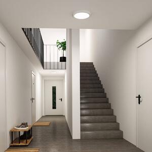 Paulmann Lampa sufitowa Abia 2, biały / opal, salon / jadalnia, tworzywo sztuczne, nowoczesny
