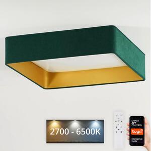 Brilagi Brilagi-Ściemnialne światło LED VELVET SQUARE LED/36W/230V Wi-Fi Tuya+pilot zielony BG0656
