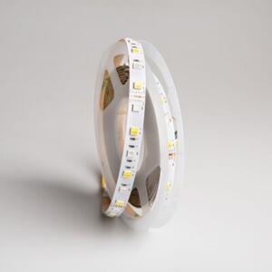 Taśma LED 300 14.4W/m RGB+CCT 12V IP20 5m ściemnialna Ecolight