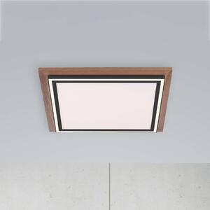 Paul Neuhaus Palma lampa sufitowa LED CCT kwadrat