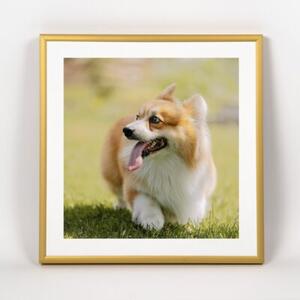 Ramka na zdjęcia 30x30 cm aluminiowa ramka złota do zdjęć LUCA®