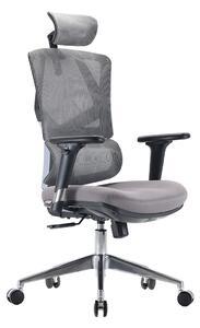 Fotel ergonomiczny ANGEL biurowy obrotowy Dakota 2.0 Grafitowy