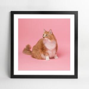 Czarna ramka na zdjęcia w rozmiarze 40x40 cm FRAMAI®