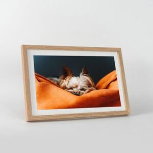 Ramka na zdjęcia 20x30 cm ramka drewniana dębowa ramka z litego drewna dębowego FRAMAI®