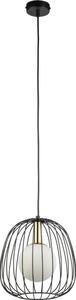 Sigma Żyrandol na lince BELL 1xG9/12W/230V śr. 24 cm czarny/złoty SI0373