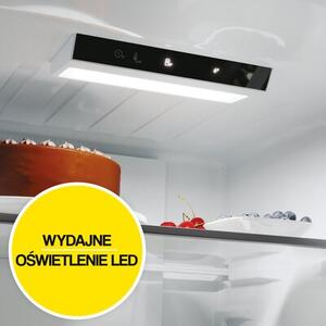 Lodówka CANDY CNCQ2T620EB Fresco 300 No Frost 205cm Czarna