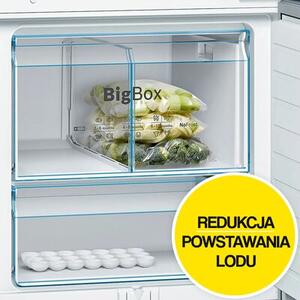 Lodówka BOSCH KGV58VLEAS 191cm Srebrna