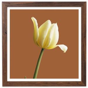 Brązowa ramka na zdjęcia w rozmiarze 30x30 cm FRAMAI®