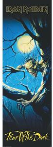 Plakat, Obraz Iron Maiden - Fear of the Dark, (53 x 158 cm)