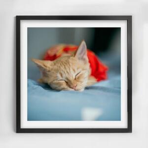 Czarna ramka na zdjęcia w rozmiarze 50x50 cm FRAMAI®
