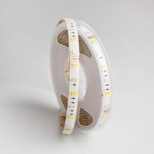 Taśma LED 300 14.4W/m RGB+CCT 12V IP63 5m ściemnialna wodoodporna Ecolight