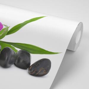 Tapeta fioletowa orchidea Zen zacisze