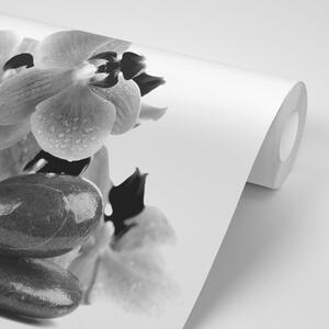 Fototapeta czarno-białe kamienie i orchidea