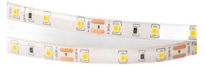 Taśma LED 300 4.8W/m 6500K 300lm/m 12V IP63 5m ściemnialna wodoodporna Ecolight