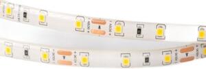 Taśma LED 300 4.8W/m 6500K 300lm/m 12V IP63 5m ściemnialna wodoodporna Ecolight