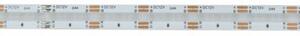 Taśma LED COB kolorowa 450 15W/m RGB 12V IP20 5m ściemnialna kolorowa Ecolight