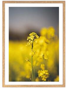 Dębowa ramka na zdjęcia w rozmiarze 50x70 cm FRAMAI®