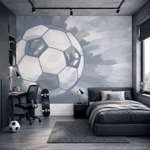 Fototapeta Piłka do futbolu w powietrzu, Fototapety Piłka Nożna, Popularne Fototapety, t00940v1 - Tapeko.pl