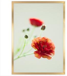 Złota ramka na zdjęcia w rozmiarze 60x80 cm FRAMAI®